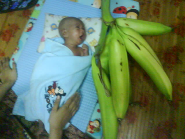 Wah....besarnya!!!
